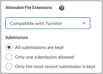 Assignment File Type Restrictions